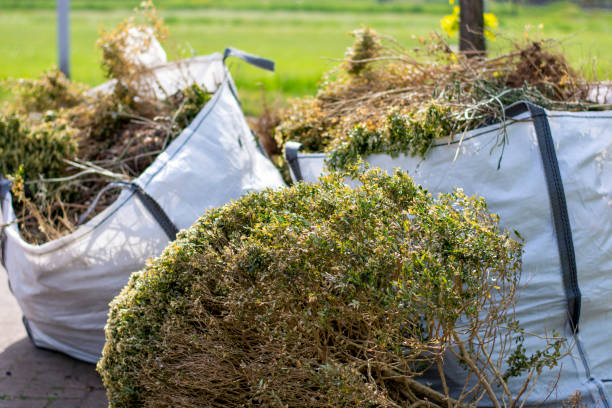 Best Basement Cleanout Services  in Brookings, SD